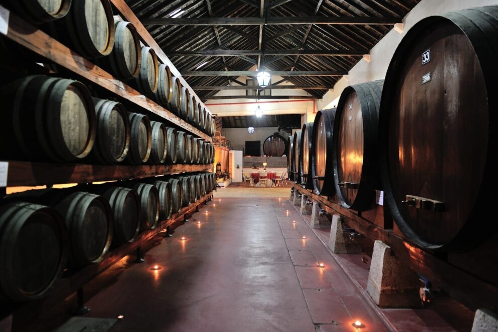 Cantina vini di Setúbal